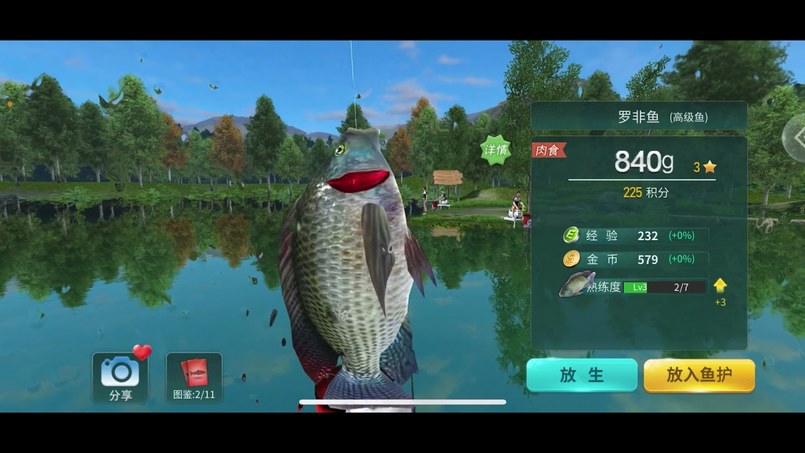 API trò chơi câu cá